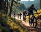 découvrez les aventures inoubliables que vous offre le vélo rockrider 320, adapté aussi bien pour les routes que les chemins. explorez de nouveaux horizons et profitez d'une expérience de conduite confortable et performante.